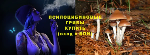 apvp Арсеньев