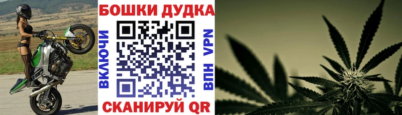 купить  сайты  Осташков  Бошки марихуана SATIVA & INDICA 